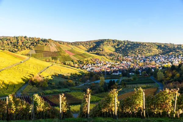 Weinberge Stuttgart Uhlbach Neckar Schöne Herbstlandschaft Deutschland — Stockfoto