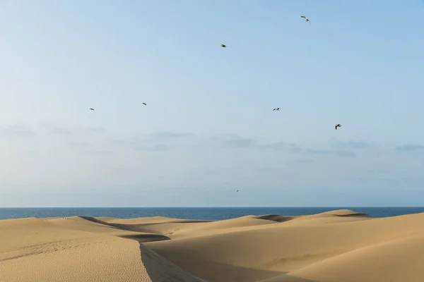 Deserto Com Dunas Areia Gran Canaria Espanha — Fotografia de Stock
