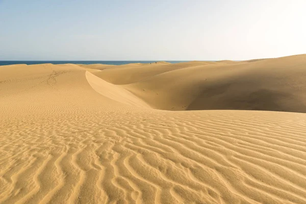 Пустелі Піщаних Дюн Гран Канарія Іспанія — стокове фото