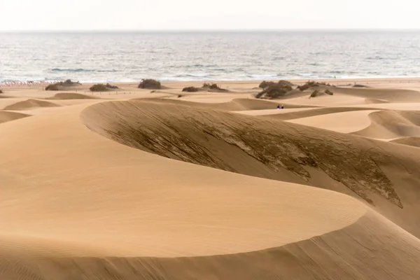 Çöl Kumulları Gran Canaria Spanya Ile — Stok fotoğraf