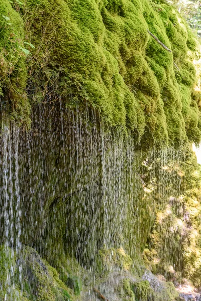 Wutach Gorge Met Rivier Moos Gras Wandelen Het Prachtige Landschap — Stockfoto