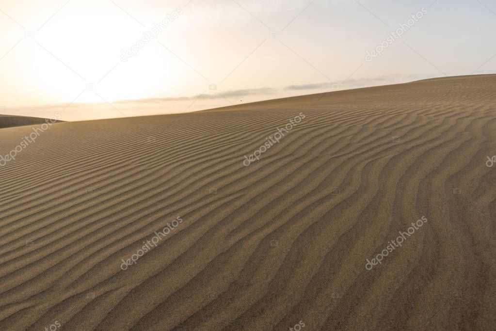 Desert - beautiful landscape with sand dunes