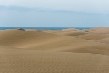 Çöl kumulları Gran Canaria, İspanya ile