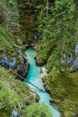 Leutaschklamm - Almanya Alpleri'nde Nehri ile vahşi gorge