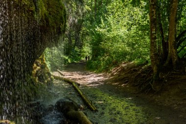Wutach Gorge nehir ve şelaleler - blackforest, Almanya güzel manzara içinde yürüyüş