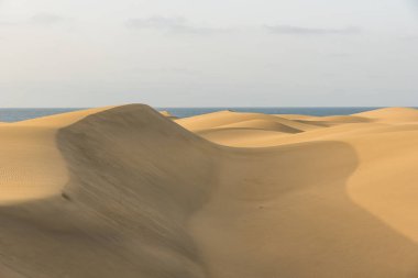 Çöl kumulları Gran Canaria, İspanya ile