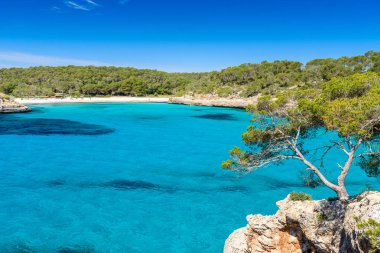 Güzel plaj, Cala S'Amarador Mondrago - Tabiat Parkı üzerinde Majorca İspanya, Balear Adaları, Akdeniz, Avrupa