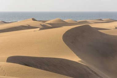 Çöl kumulları Gran Canaria, İspanya ile