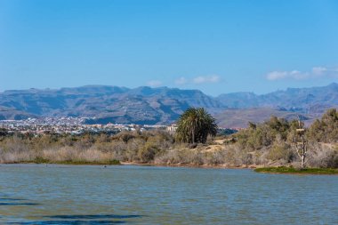 Kum tepeleri Gran Canaria - İspanya, gölde