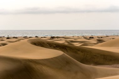 Çöl kumulları Gran Canaria, İspanya ile