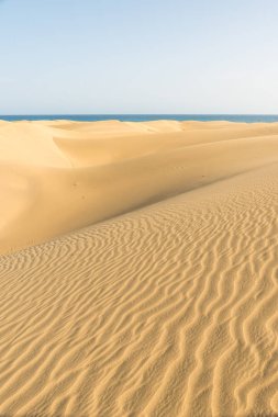 Çöl kumulları Gran Canaria, İspanya ile