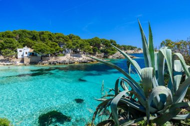 Cala Gat Ratjada, Mallorca - güzel bir plaj ve sahil