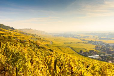 Hedef Avrupa'nın, üzüm bağları, Chateau de Kaysersberg - Fransa'daki alsace - seyahat