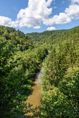 Wutach Gorge nehir ve şelaleler - blackforest, Almanya güzel manzara içinde yürüyüş