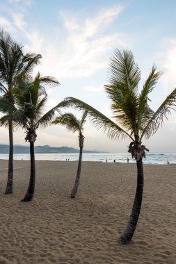 Playa de Las Canteras - Las Palmas de Gran Canaria 'daki güzel plaj