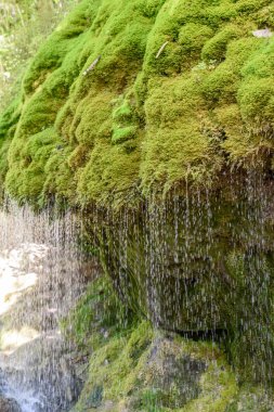 Wutach Gorge moos çim - nehirde ile blackforest Almanya güzel manzara içinde yürüyüş