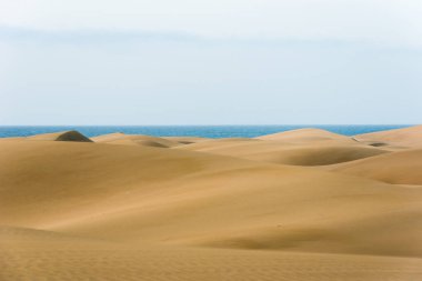 Çöl kumulları Gran Canaria, İspanya ile