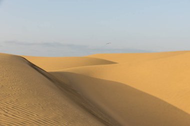 Çöl - kum tepeleri ile güzel manzara