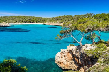 Güzel plaj, Cala S'Amarador Mondrago - Tabiat Parkı üzerinde Majorca İspanya, Balear Adaları, Akdeniz, Avrupa