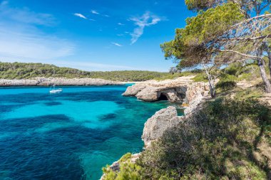 Bay, Cala Mondrago - güzel bir plaj ve sahil Mallorca