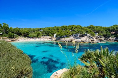 Cala Gat Ratjada, Mallorca - güzel bir plaj ve sahil