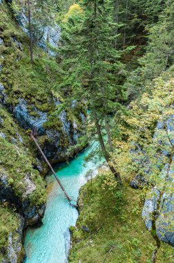 Leutaschklamm - Almanya Alpleri'nde Nehri ile vahşi gorge