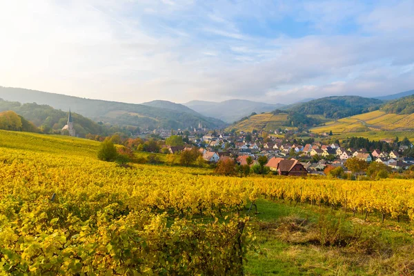 Pueblo Barr Viñedo Paisaje Región Alsacia Francia —  Fotos de Stock