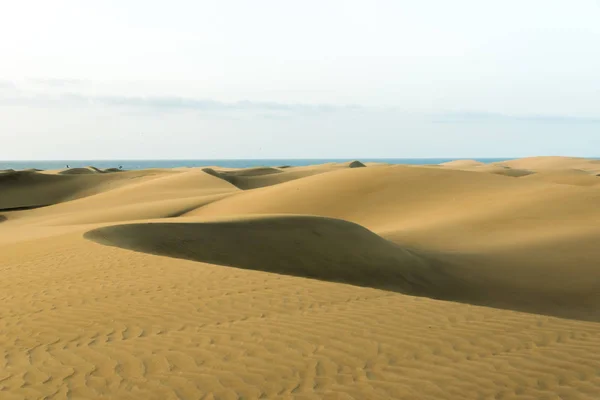 Deserto Com Dunas Areia Gran Canaria Espanha — Fotografia de Stock