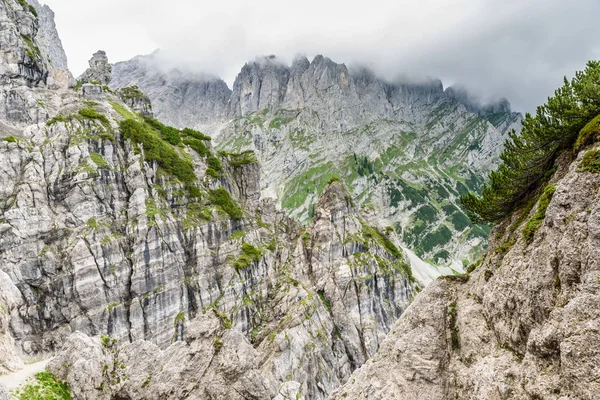 Ellmauer Megállt Wilder Kaiser Hegyek Ausztria Közel Gruttenhuette Egy Alpesi — Stock Fotó