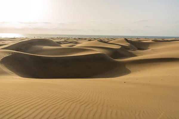 Deserto Con Dune Sabbia Gran Canaria Spagna — Foto Stock