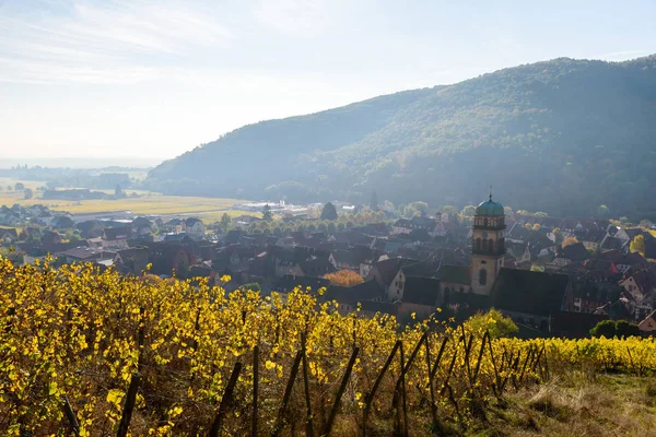 Chateau Kaysersberg Ιστορικό Χωριό Στην Περιοχή Κρασιού Αμπελώνες Αλσατία Γαλλία — Φωτογραφία Αρχείου