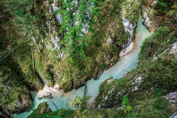 Leutaschklamm Almanya Alpleri Nde Nehri Ile Vahşi Gorge — Stok fotoğraf