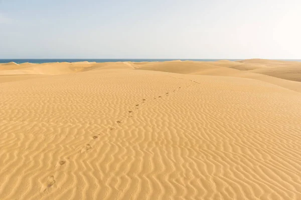 Desert Beautiful Landscape Sand Dunes — Stock Photo, Image