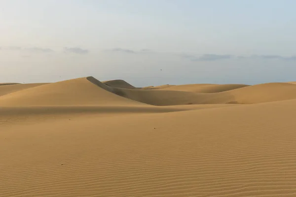 Desert Beautiful Landscape Sand Dunes — Stock Photo, Image