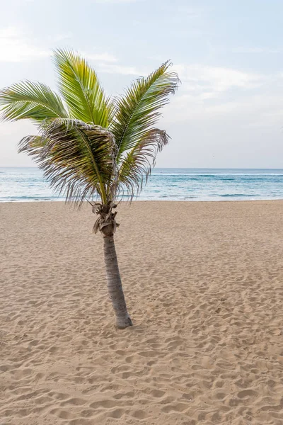 Playa Las Canteras Krásná Pláž Las Palmas Gran Canaria — Stock fotografie