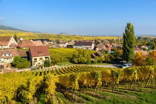 Hunawihr Small Village Vineyards Alsace France — Stock Photo, Image