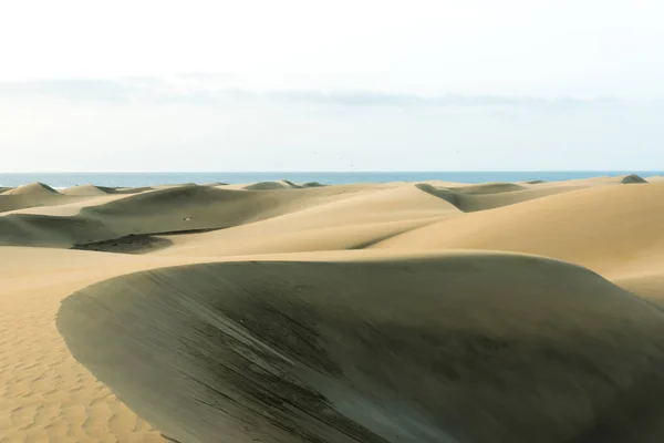 Wüste Mit Sanddünen Auf Gran Canaria Spanien — Stockfoto