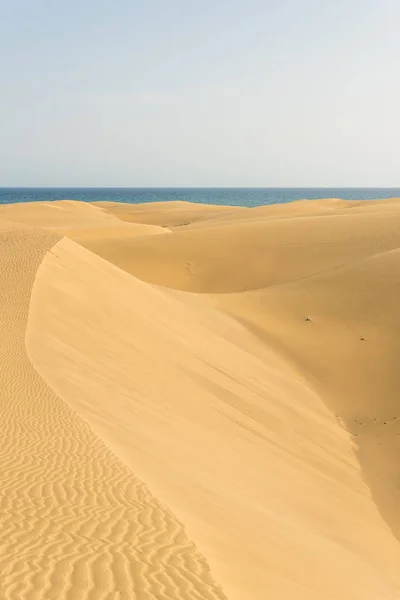 Pustyni Piaszczystymi Wydmami Gran Canaria Hiszpania — Zdjęcie stockowe