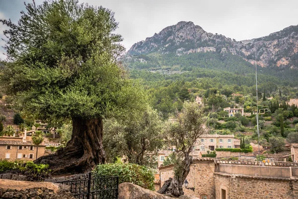 Deia Старе Село Гори Мальорка Іспанія Європа — стокове фото