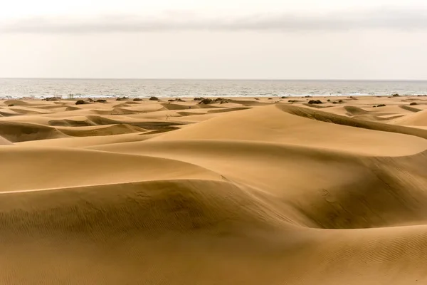 Deserto Con Dune Sabbia Gran Canaria Spagna — Foto Stock