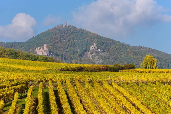 Hunawihr Mała Wieś Winnic Alzacji Francja — Zdjęcie stockowe