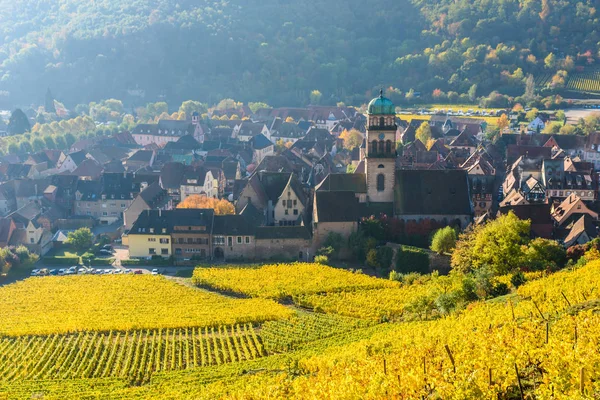 Chateau Kaysersberg Historisches Dorf Weinregion Weinberge Elsass Frankreich Europa — Stockfoto