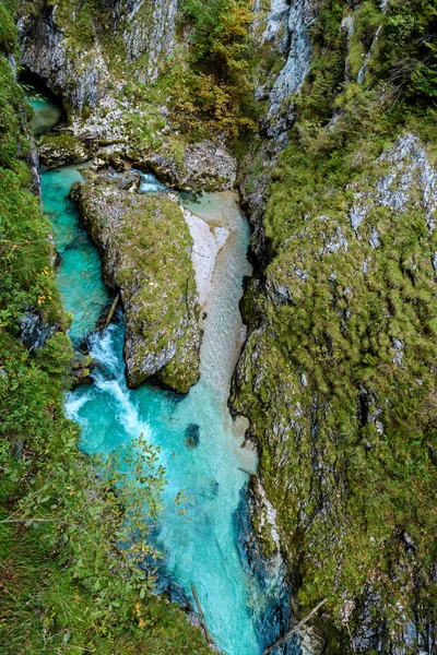 Leutaschklamm Gorge Sauvage Avec Rivière Dans Les Alpes Allemagne — Photo