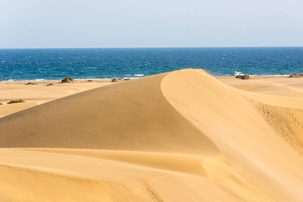 Deserto Con Dune Sabbia Gran Canaria Spagna — Foto Stock