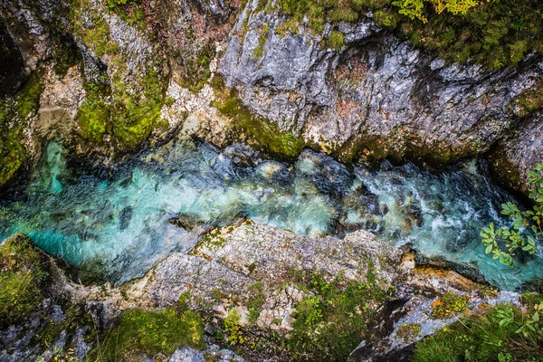 Leutaschklamm Vilda Ravinen Med Floden Alperna Tyskland — Stockfoto