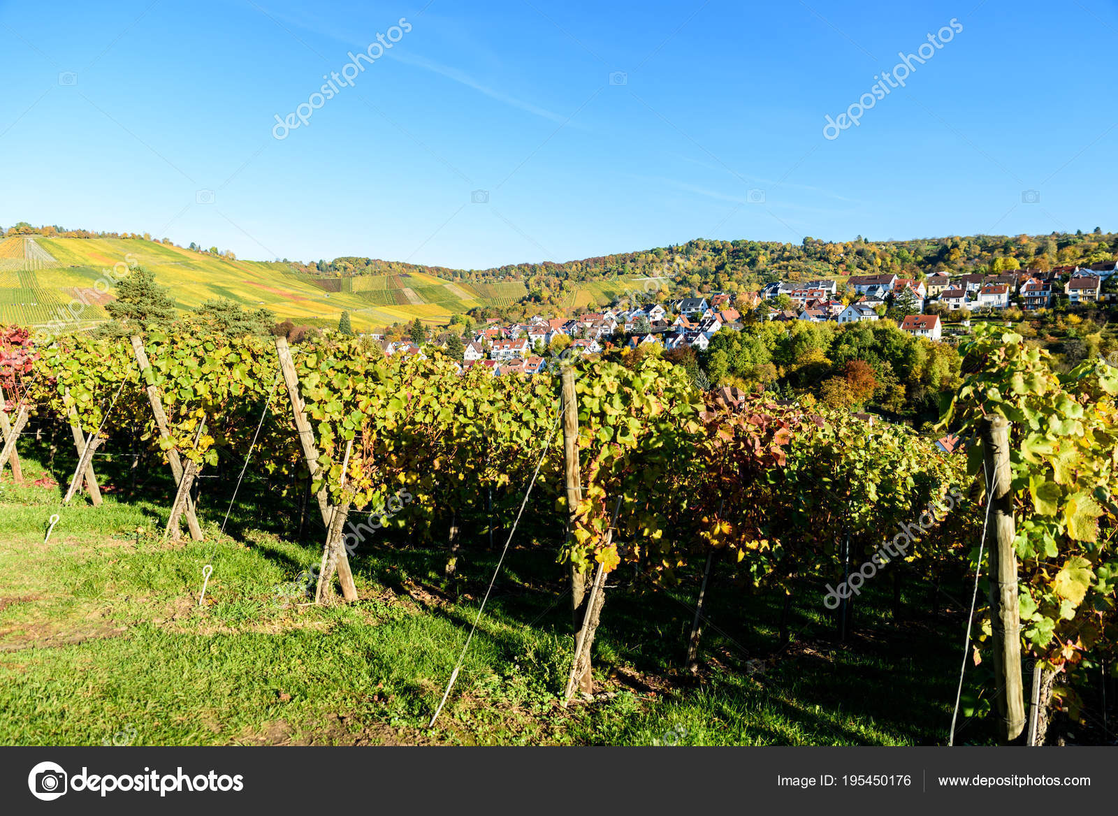 Vineyards Stuttgart Uhlbach Neckar Valley Beautiful Landscape Autum