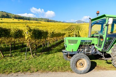 Alsace - bağlarına yakın küçük bir köy Hunawihr, Fransa