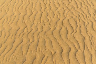 Çöl kumulları Gran Canaria, İspanya ile