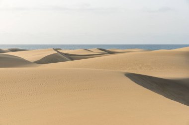 Çöl kumulları Gran Canaria, İspanya ile