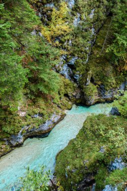 Leutaschklamm - Almanya Alpleri'nde Nehri ile vahşi gorge